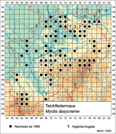 Rasterkarte der Teichfledermaus