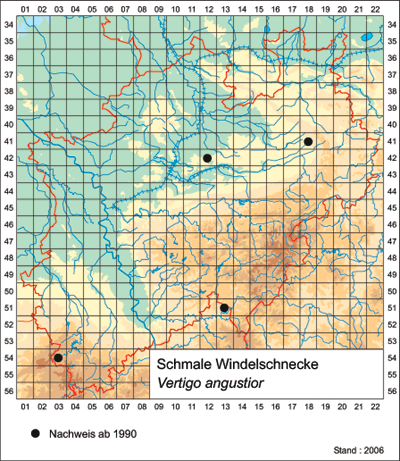 Rasterkarte der Schmalen Windelschnecke
