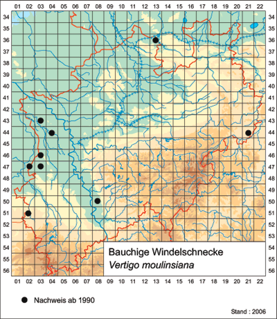 Rasterkarte der Bauchige Windelschnecke